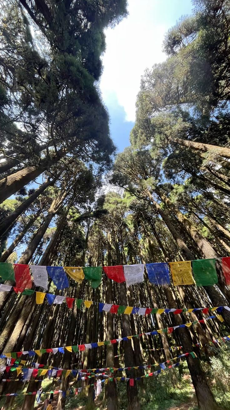 Darjeeling Full Day Private Sightseeing Tour